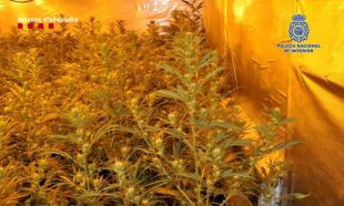 Desarticulada a Lloret una banda criminal de tràfic internacional de drogues amb nexes a Suïssa