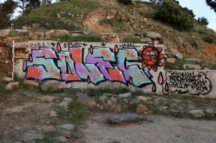 Tornen a omplir de pintades el jaciment iber del Castell de Palamós