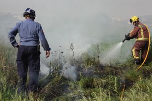 Un petit incendi al paratge del Sitjar de Salt mobilitza quatre dotacions de bombers