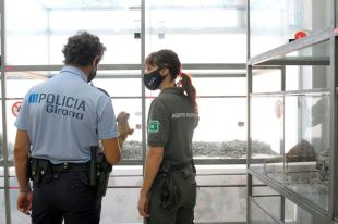 Els Agents Rurals i la Policia Municipal de Girona inspeccionen les botigues d'animals