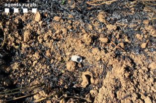 Un petard origina l'incendi de Torrent, que calcina més de 14 hectàrees