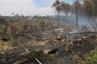 Controlat l'incendi forestal de Colomers, que ha afectat unes dues hectàrees