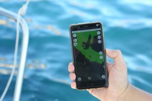 Una app permet localitzar boscos marins per protegir-los de les àncores que els malmeten