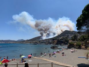 El govern espanyol declara zona catastròfica l'incendi del mes passat a Llançà