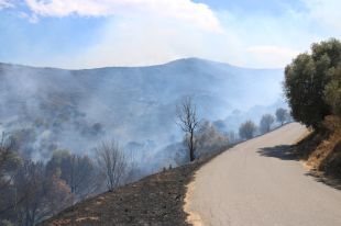 Els Bombers donen per extingit l'incendi de Llançà que ha cremat durant tres dies 