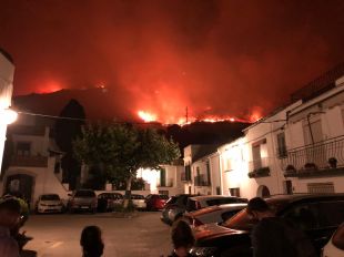 La Diputació de Girona repararà les infraestructures malmeses per l'incendi del Cap de Creus