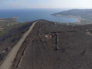 La vegetació cremada a l'incendi del Cap de Creus podria tardar entre 2 i 4 anys a regenerar-se