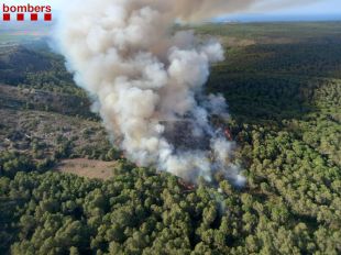 70 dotacions dels Bombers treballen en un incendi forestal a Torroella de Montgrí