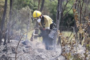 L'Ajuntament de Ventalló tenia previst netejar la zona on es va originar l'incendi
