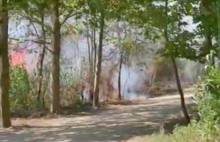 Vuit dotacions dels Bombers treballen en un incendi de vegetació a Salt