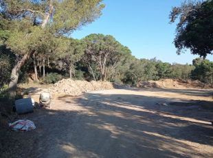 Ecologistes acusen el Festival de Cap Roig de talar arbres per ampliar l'aparcament