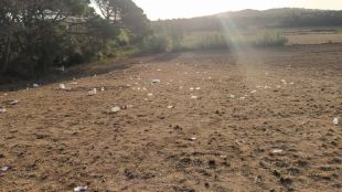 Palafrugell adverteix que ''no dona l'abast'' a controlar les festes nocturnes i botellot