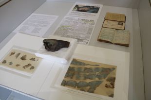 Resolen el misteri de la funda de pistola de la Guerra Civil trobada en un camí de Camprodon