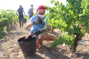 La DO Empordà encara no ha recuperat el nivell de vendes d'abans la pandèmia