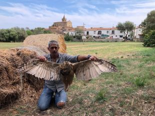 Natura Sterna denuncia la mort d'un duc electrocutat a Castell d'Aro