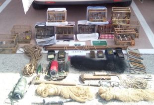 Intervenen 62 ocells d'espècies protegides a Olot