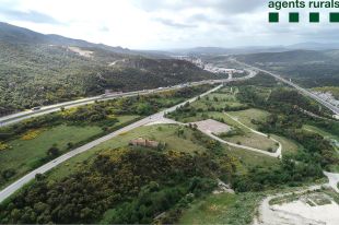 Comencen els treballs forestals per evitar incendis al corredor d'infraestructures de l'Alt Empordà