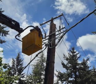Endesa posa en servei una línia amb cable trenat a Sant Hilari Sacalm per a millorar el servei