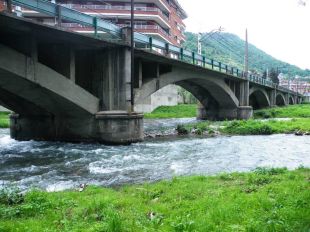 Adif licita les obres de reparació del pont del tren de Ripoll