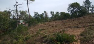 La Selva inicia els treballs forestals d’obertura de les franges perimetrals de seguretat