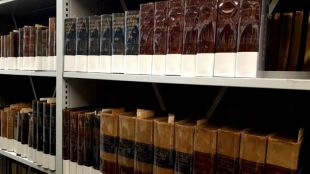 Recta final de la catalogació del fons bibliogràfic de la Farmàcia de l'antic Hospital Santa Caterina