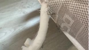 Un caçador dispara contra un càmping a Tordera i perfora el matalàs d'una parella