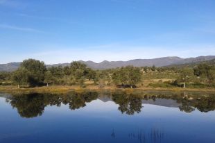 Figueres aprova impulsar la declaració de Parc Natural de l'Albera