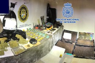 Un detingut a Calonge que tenia una plantació amb prop de cinc quilos de marihuana