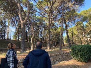 Figueres inicia el projecte per ubicar els estornells a la pujada del Castell