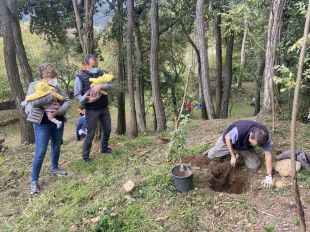 Uns cent seixanta nadons ja tenen el seu arbre al bosc dels Tres Roures de l’Hospital d’Olot