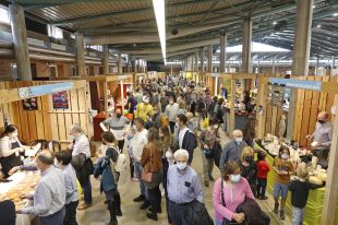 La 60a Fira de Mostres de Girona creix un 8% en expositors i s'encamina cap a les xifres prepandèmia