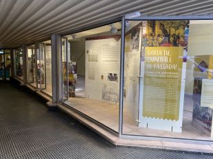 Banyoles prorroga l’exposició ‘Goita tu, quin ball de passada!’