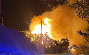 Un incendi crema dues hectàrees d'un viver de palmeres a Blanes