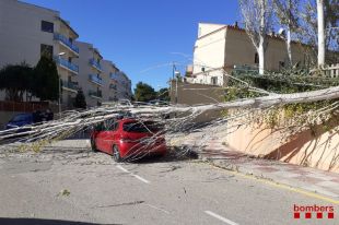 Els Bombers fan cinc serveis a la Selva pel fort vent, que ja supera els 100 km/h a l'Empordà