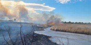Set dotacions de Bombers treballen en un incendi de matolls a l'Estartit