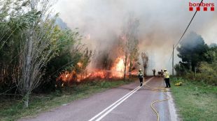 L'incendi a l'Estartit va cremar 14,6 hectàrees i podria ser fruit d'una negligència