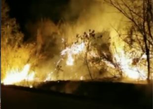 Un incendi crema un terreny on s'hi aboquen restes vegetals a Cabanes