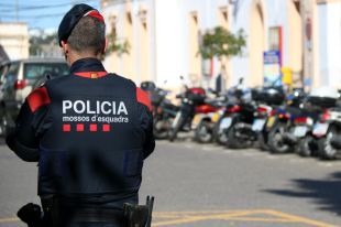 En marxa un dispositiu dels Mossos contra el cultiu de marihuana en cinc localitats gironines