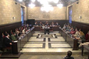 Girona comptarà amb un protocol d'actuació per fer front als cultius de marihuana