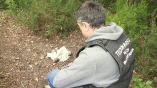 Uns caçadors troben una granada de morter en un bosc als afores de Blanes