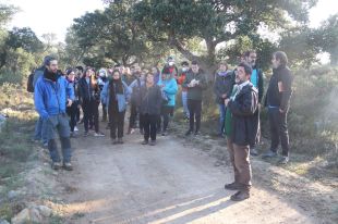 Evaluen les zones amb parcs d'energies renovables projectats a l'Alt Empordà
