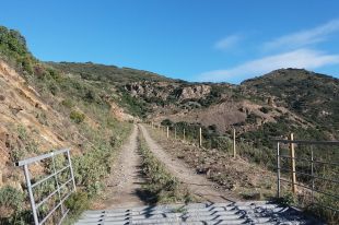 Una desena d'ajuntaments aproven una moció per impulsar la creació del parc natural de l'Albera