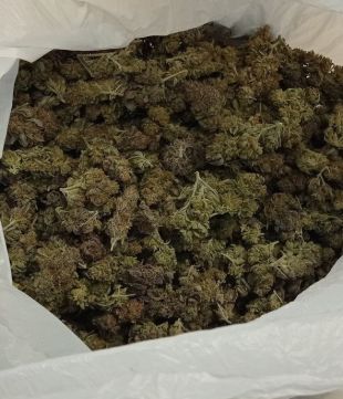 La Policia Local de Banyoles enxampa en jove amb marihuana i cocaïna en un control