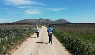 Oncolliga celebra dissabte la darrera Caminada en Silenci per La Marató de TV3