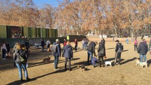Girona reobre l'espai d'esbarjo per a gossos de la Devesa i segueix el misteri de les intoxicacions
