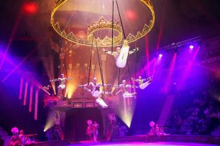 El Festival Internacional del Circ de Girona celebrarà 10 anys convidant 80 artistes internacionals