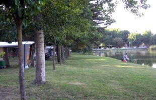Mor un treballador del càmping Maite de l'Escala al caure d'un arbre