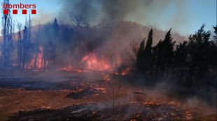 Deu dotacions dels Bombers treballen per apagar un incendi en un canyissar de Darnius