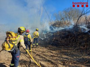 Un incendi crema 50 metres lineals de canyes a Mollet de Peralada
