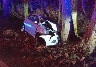 Detingut el jove conductor de l'accident amb quatre ferits a Camós per quintuplicar la taxa d'alcohol